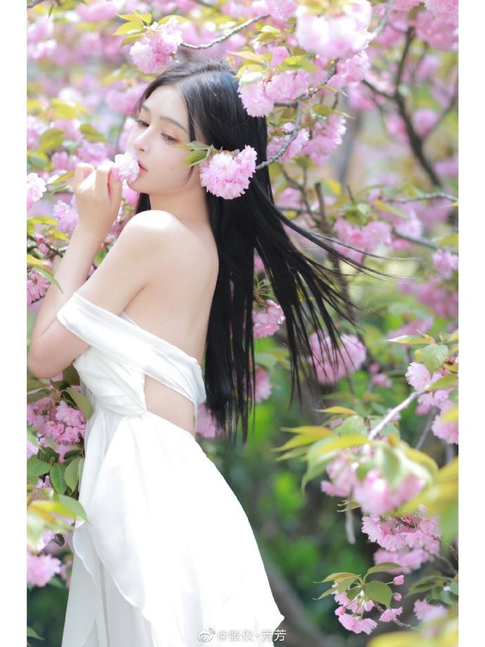 长相思